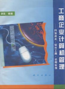 工商企業(yè)計(jì)算機(jī)管理軟件開發(fā)技術(shù)與實(shí)踐——以江西企業(yè)為例